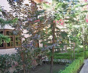 Corbett Treff Dhikuli Exterior foto